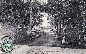TELAGH 15